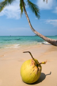 Young green coconut water is nearly identical to human blood plasma.  It was used iduring WWII for emergency plasma transfusions.