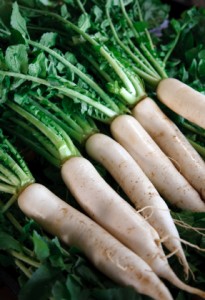 Mighty Daikon 