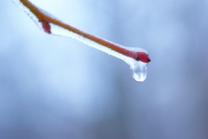 Melting ice brings flow.