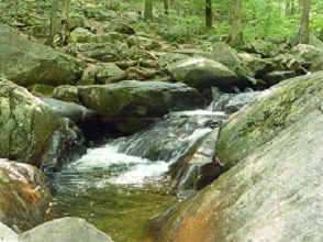 Water flowing at NJ's Hacklebarney State Park. 