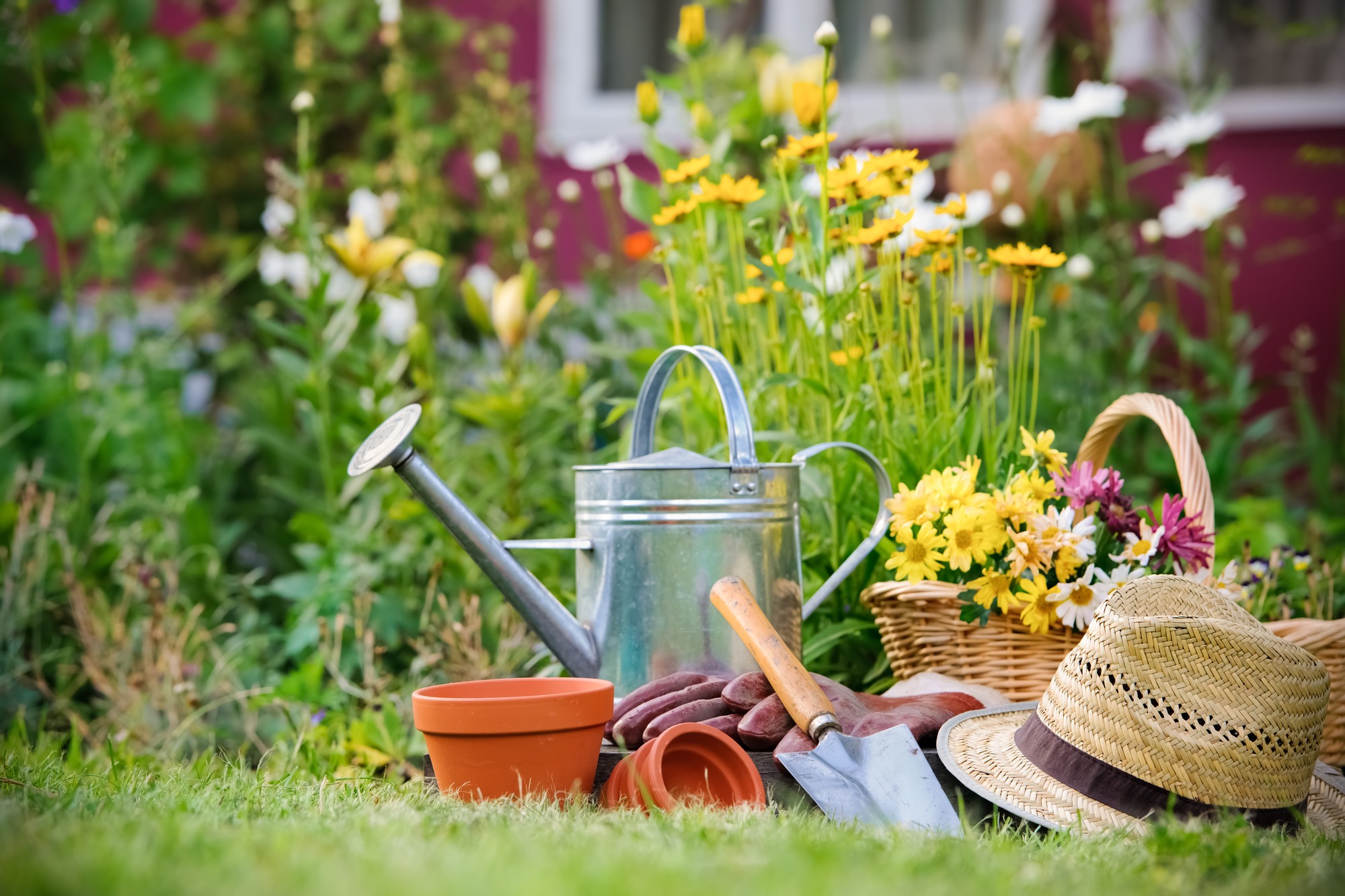 Gardening tools and a straw hat on the grass in the garden