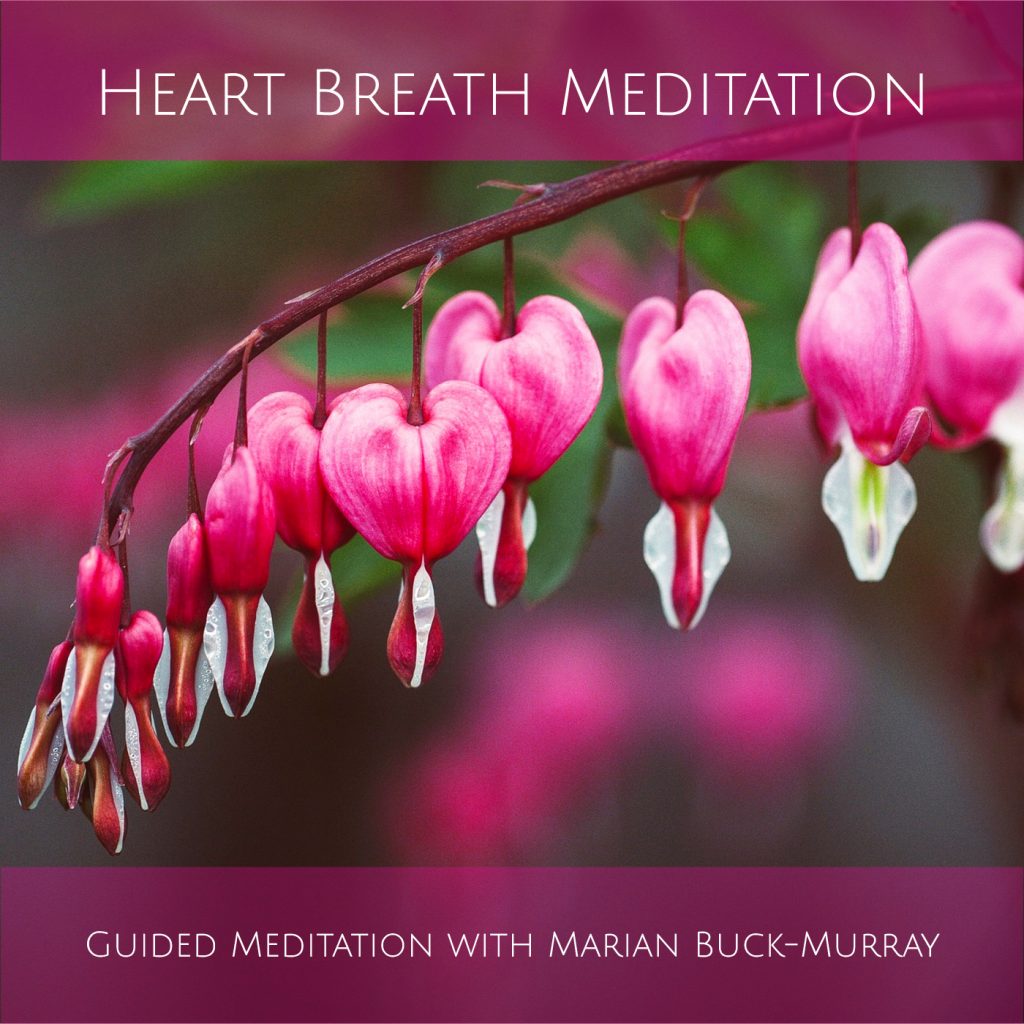 Heart Breath Meditation
