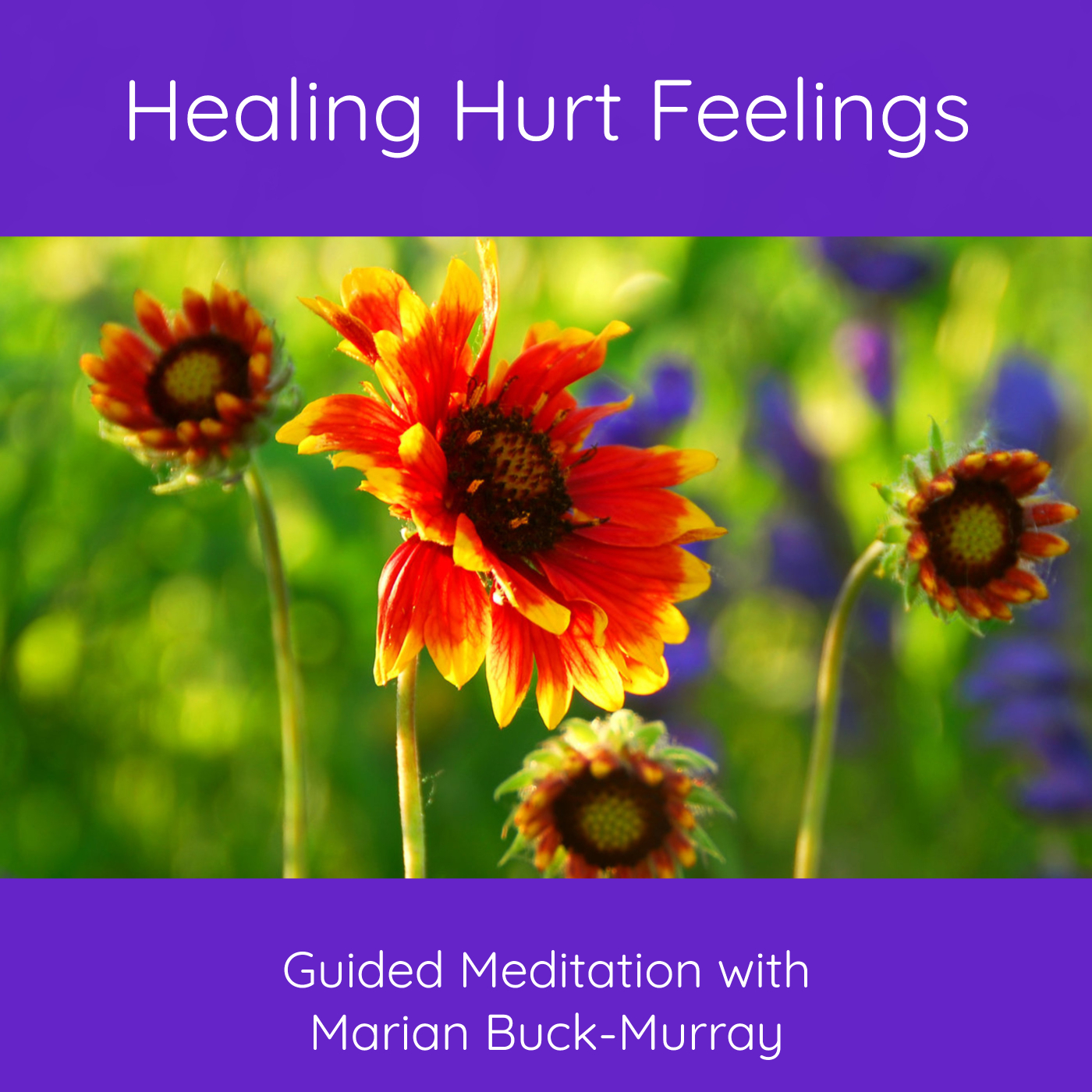 Healing Hurt Feelings Audio Marian Buck Murray